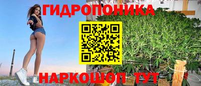 mdpv Аргун