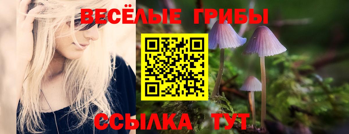 Бугуруслан  Галлюциногенные грибы мицелий  Галлюциногенные грибы GOLDEN TEACHER  Вход с VPN 